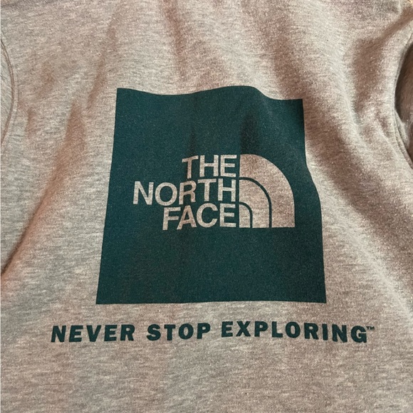 the north face hoodie - Picture 3 of 4